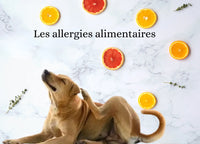 Quelles friandises naturelles pour chiens souffrant d'allergies alimentaires ?