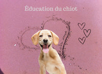 Comment utiliser les friandises pour renforcer les bons comportements chez les chiots ?