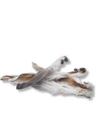 oreilles de lapin naturelles pour chiens - friandises à mâcher
